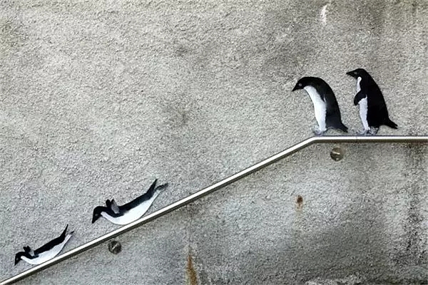 artist，Street Art，a literary creation，tree，